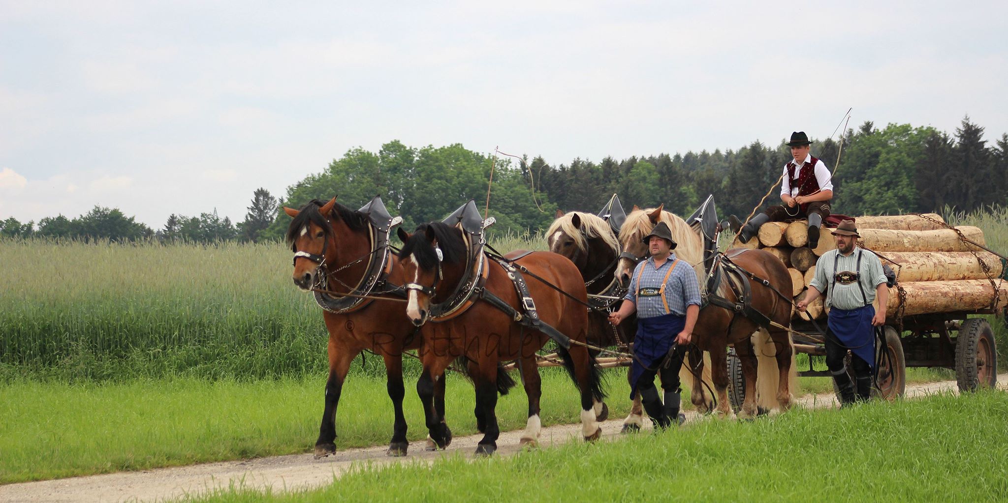 125jahre Pferdezuchtgenossenschaft Berchtesgadener Land - Pfingstfest Holzhausen
&copy; Reitthaler Andrea