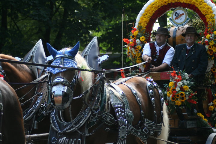 AUERBR&Auml;U Bieranlieferung w&auml;hrend des Wiesenbetriebs - 2011