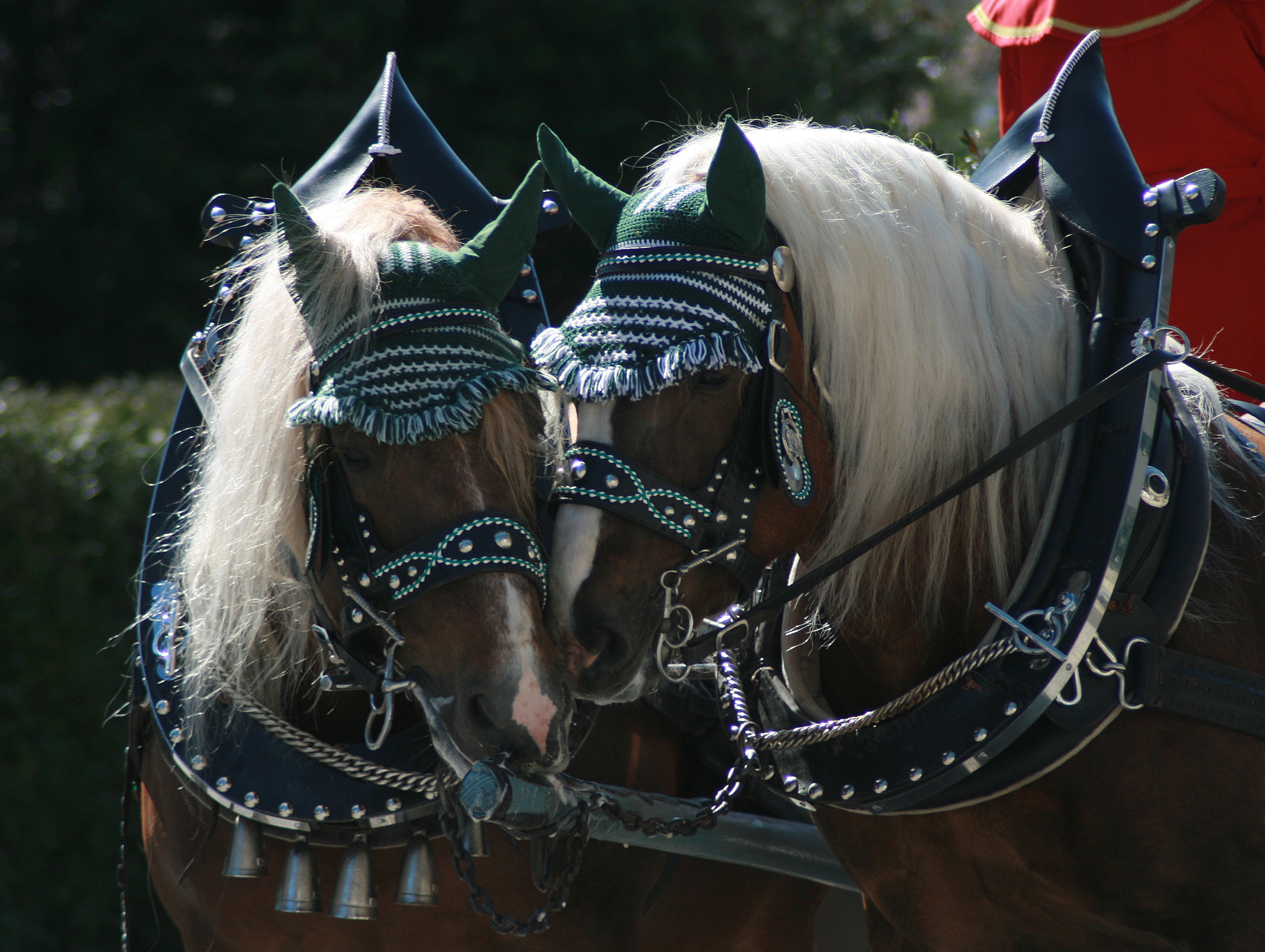 Bubi und Valentiner 2012
