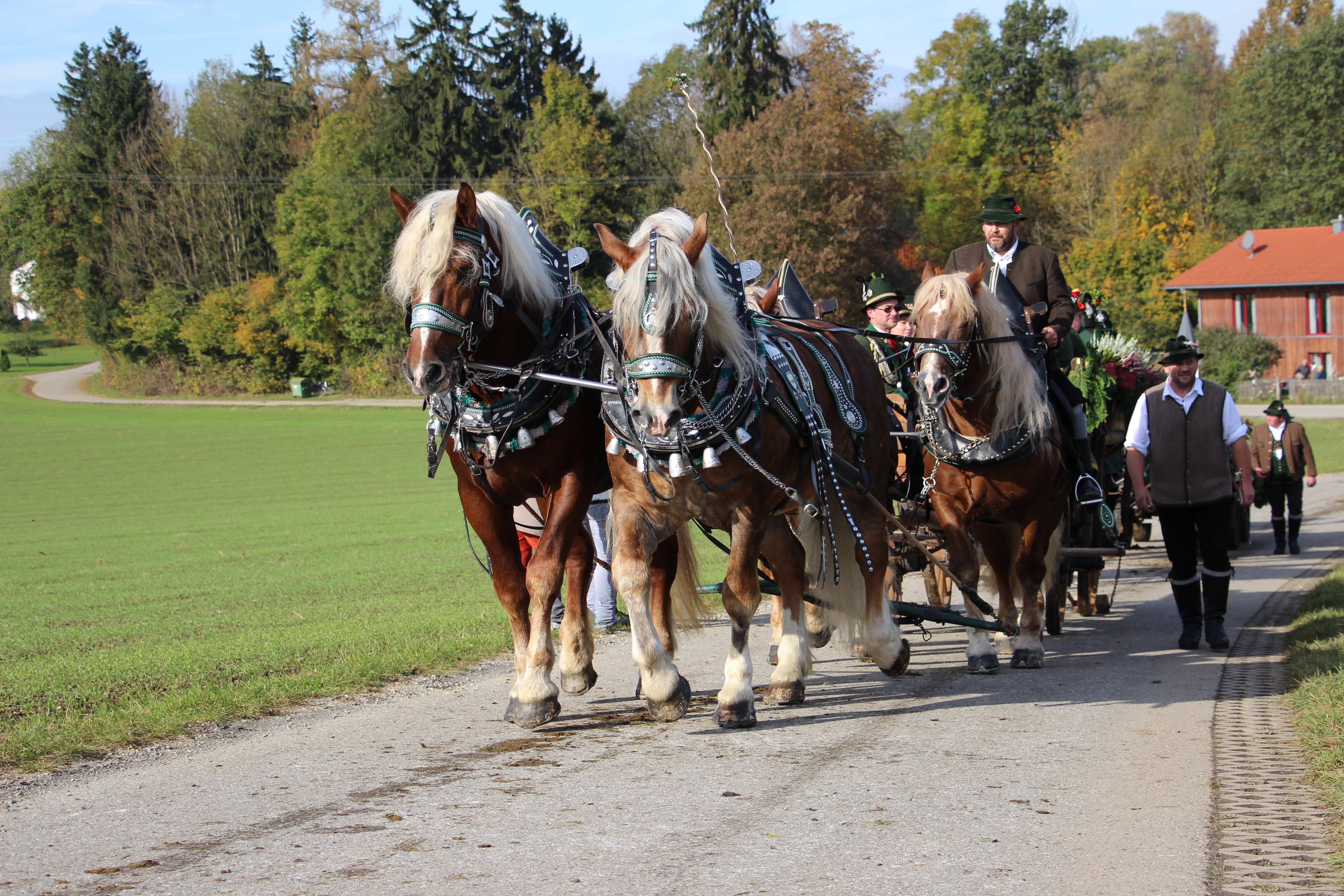 Leonhardi Leonhardspfunzen 2016
&copy; Reitthaler Andrea